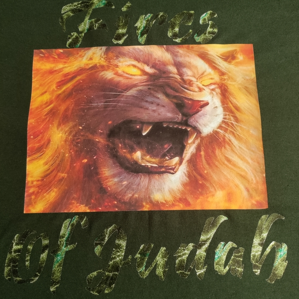 Fires of Judah Tshirt, Lion T-shirt, Leo Tshirt, Religious Tshirt, Hebrew Tshirt